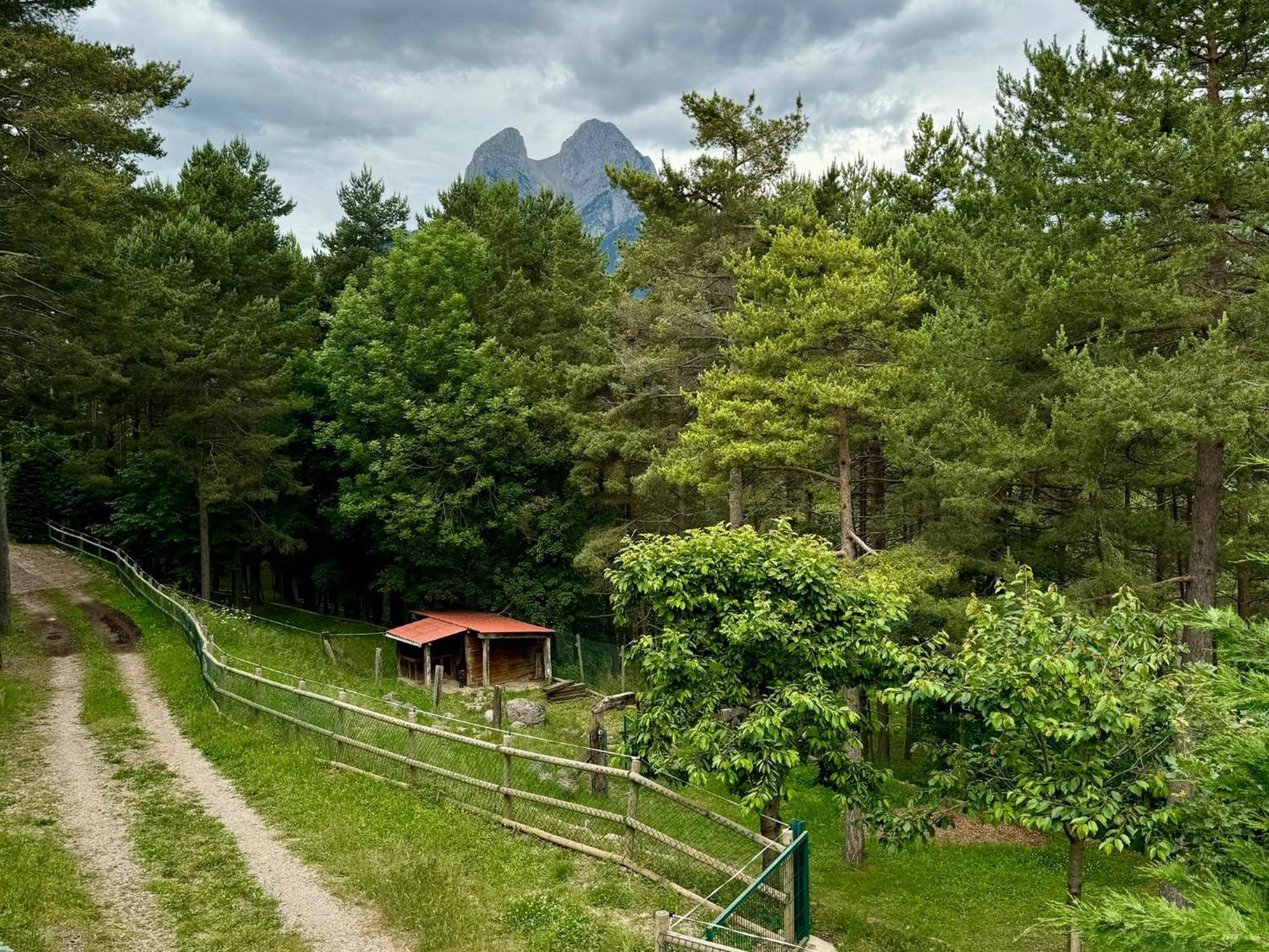 Cal Roig - Pedraforca Villa Saldés Exteriör bild